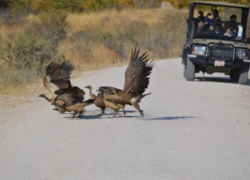 Why 2026 is the Year You Must Visit Zimbabwe