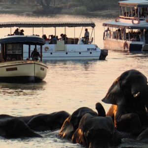 Victoria Falls Sunset Cruise on the Zambezi River