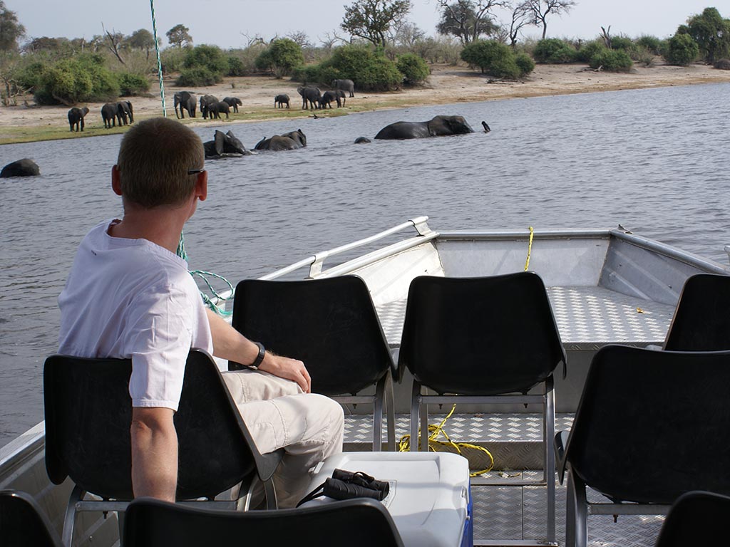 chobe day trip