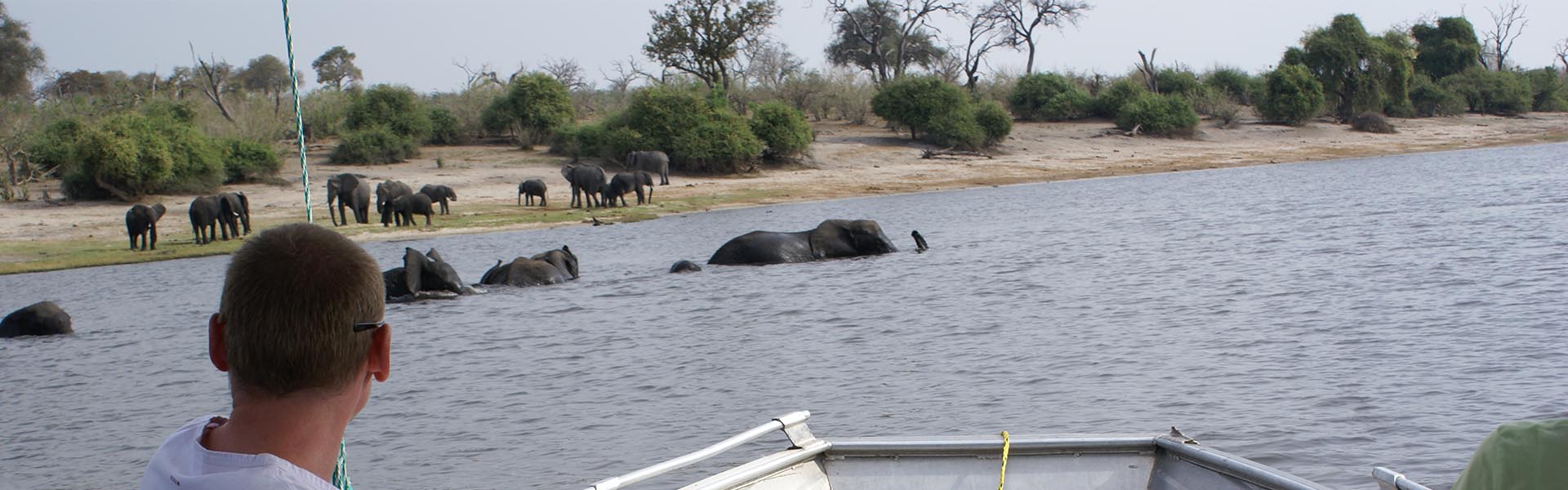 chobe safari