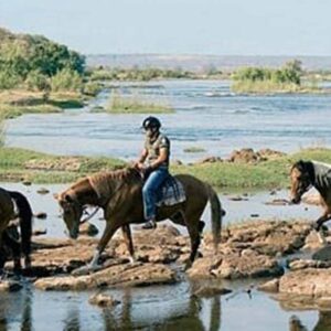 Zambezi Horseback Safari – Explore the Wild on Horseback