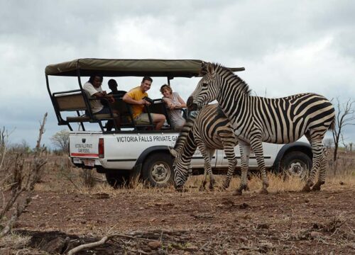 Game Drive