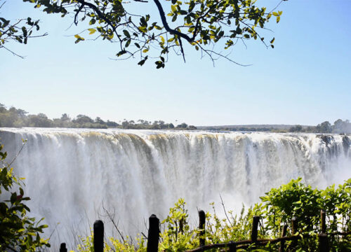 Guided Tour of the Falls