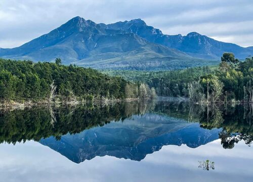 Cape Town Travel Guide: Attractions, Experiences & Nearby Safaris