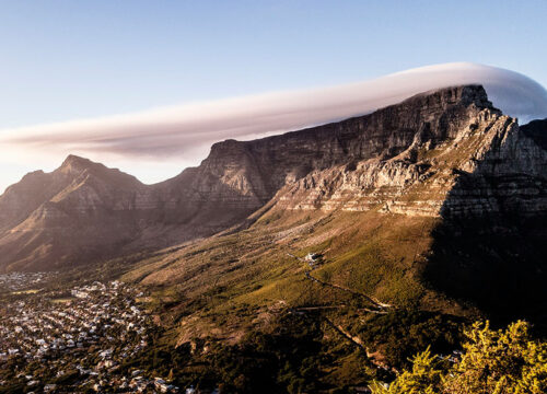 14-Day South Africa Winelands, Garden Route & Eastern Cape Safari Tour