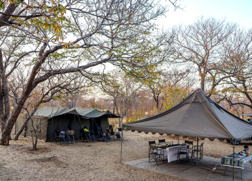 Chobe Under Canvas – 3 Day Mobile Camping Safari Itinerary