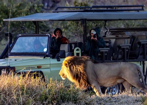 6-Day Chobe Wildlife & Okavango Delta Safari Adventure